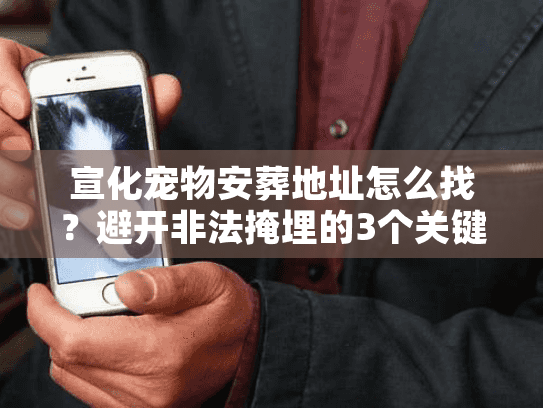 宣化宠物安葬地址怎么找?避开非法掩埋的3个关键步骤 宣化宠物安葬地址怎么找?避开非法掩埋的3个关键步骤