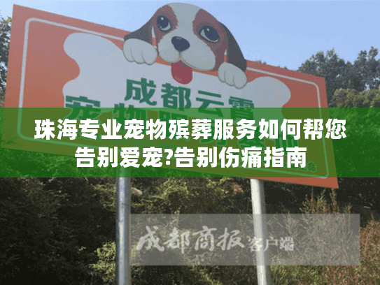 珠海专业宠物殡葬服务如何帮您告别爱宠?告别伤痛指南