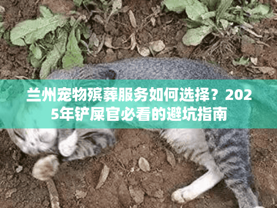 兰州宠物殡葬服务如何选择？2025年铲屎官必看的避坑指南