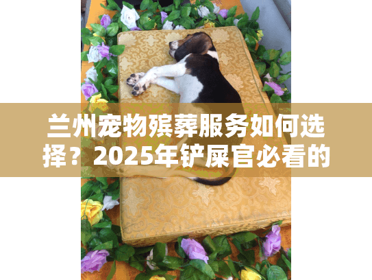 兰州宠物殡葬服务如何选择？2025年铲屎官必看的避坑指南