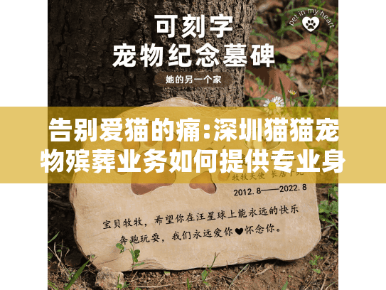 告别爱猫的痛:深圳猫猫宠物殡葬业务如何提供专业身后事处理服务
