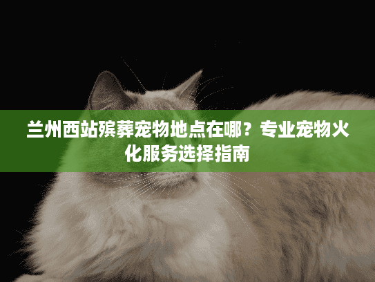 兰州西站殡葬宠物地点在哪？专业宠物火化服务选择指南