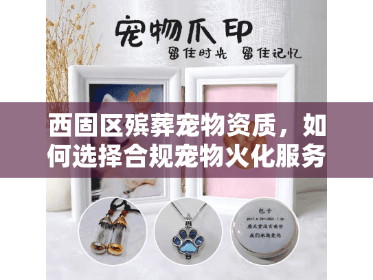 西固区殡葬宠物资质，如何选择合规宠物火化服务？