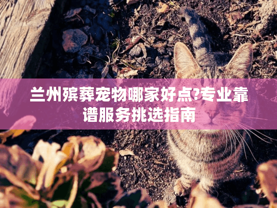 兰州殡葬宠物哪家好点?专业靠谱服务挑选指南