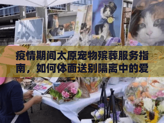 疫情期间太原宠物殡葬服务指南，如何体面送别隔离中的爱宠