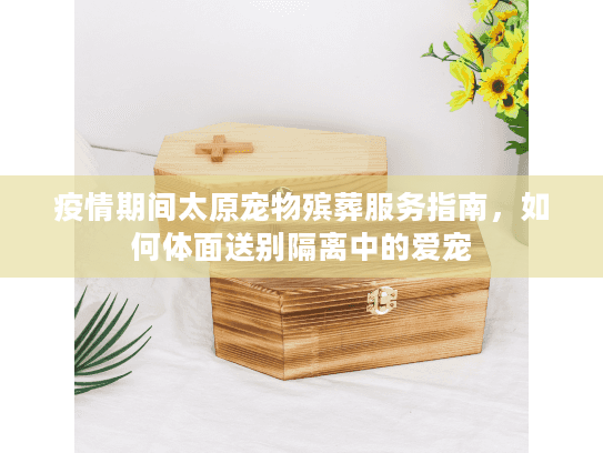 疫情期间太原宠物殡葬服务指南，如何体面送别隔离中的爱宠