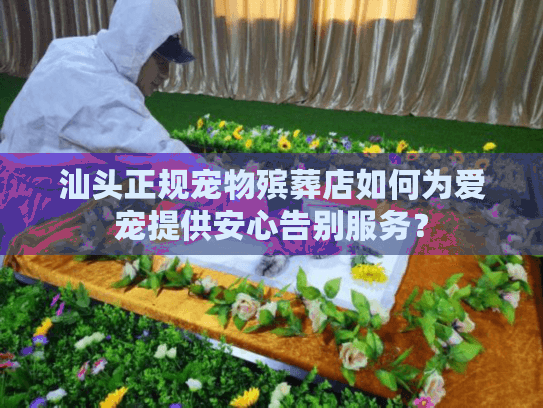 汕头正规宠物殡葬店如何为爱宠提供安心告别服务？