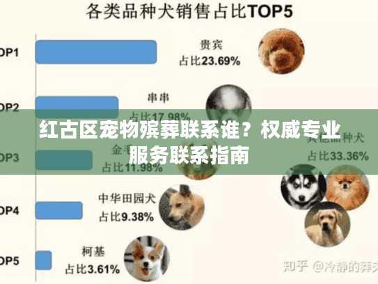 红古区宠物殡葬联系谁？权威专业服务联系指南