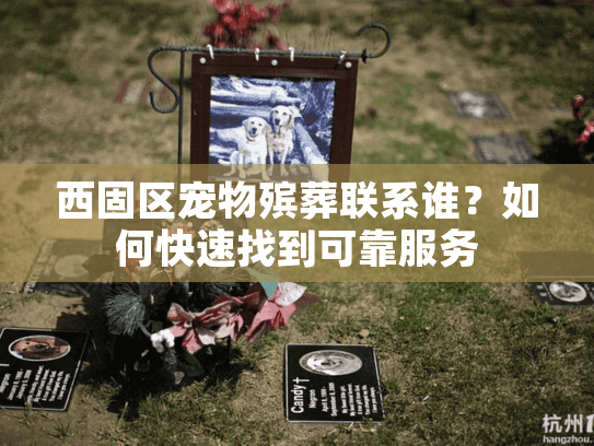 西固区宠物殡葬联系谁？如何快速找到可靠服务