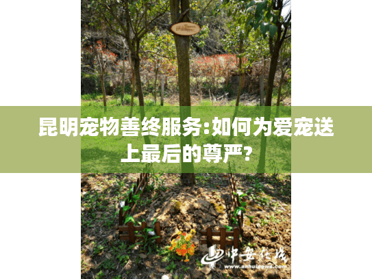 昆明宠物善终服务:如何为爱宠送上最后的尊严?