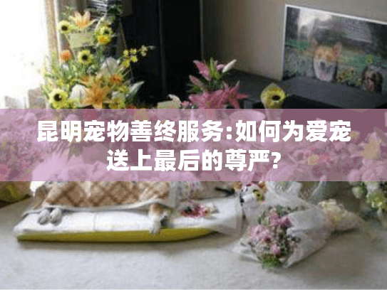 昆明宠物善终服务:如何为爱宠送上最后的尊严?