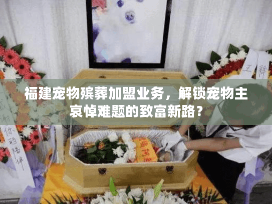 福建宠物殡葬加盟业务，解锁宠物主哀悼难题的致富新路？