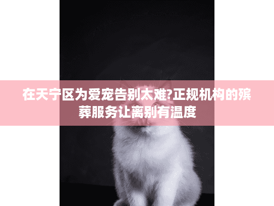 在天宁区为爱宠告别太难?正规机构的殡葬服务让离别有温度
