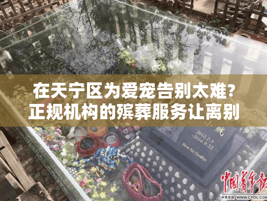 在天宁区为爱宠告别太难?正规机构的殡葬服务让离别有温度