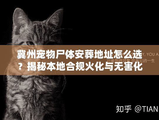 揭秘本地合规火化与无害化处理渠道图片