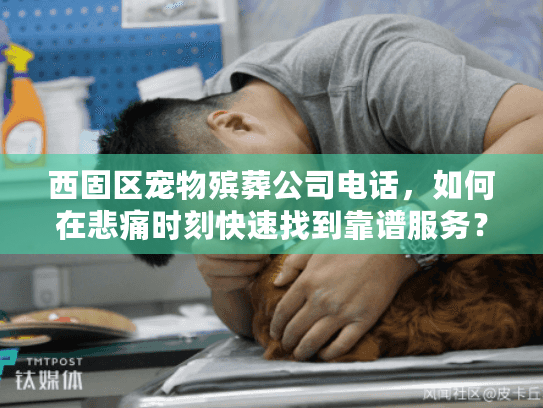 西固区宠物殡葬公司电话，如何在悲痛时刻快速找到靠谱服务？