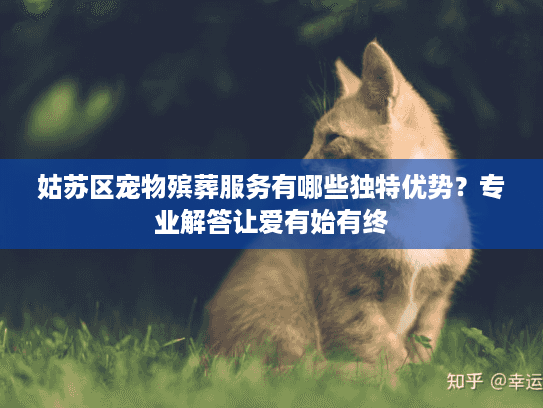 姑苏区宠物殡葬服务有哪些独特优势？专业解答让爱有始有终