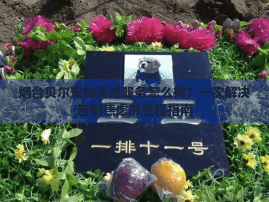 烟台贝尔宠物善终服务怎么样？一次解决告别焦虑的全程指南