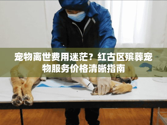 宠物离世费用迷茫？红古区殡葬宠物服务价格清晰指南