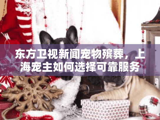 东方卫视新闻宠物殡葬，上海宠主如何选择可靠服务？
