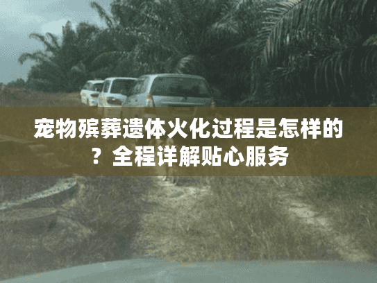 宠物殡葬遗体火化过程是怎样的？全程详解贴心服务