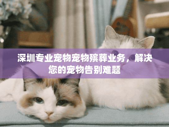 深圳专业宠物宠物殡葬业务，解决您的宠物告别难题
