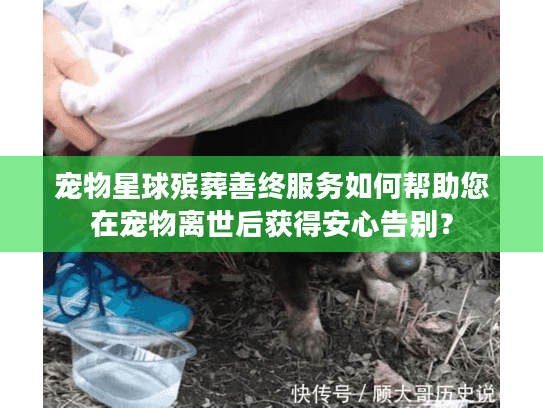 宠物星球殡葬善终服务如何帮助您在宠物离世后获得安心告别？