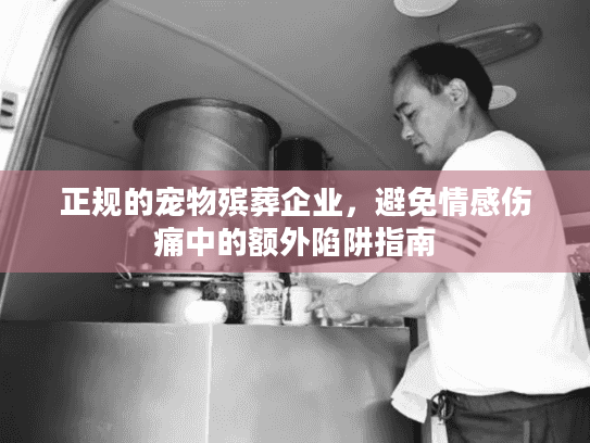 正规的宠物殡葬企业，避免情感伤痛中的额外陷阱指南