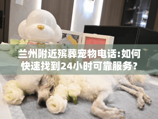 兰州附近殡葬宠物电话:如何快速找到24小时可靠服务？