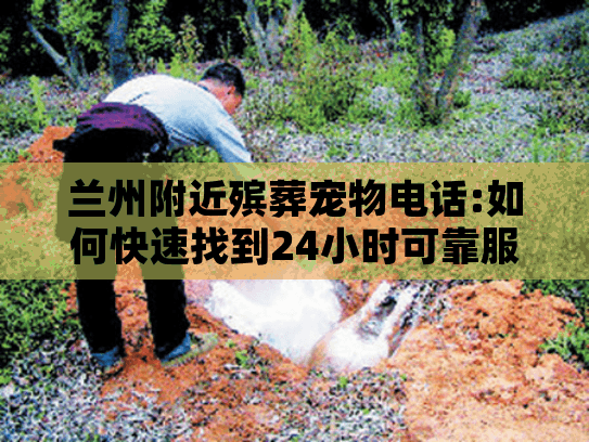 兰州附近殡葬宠物电话:如何快速找到24小时可靠服务？