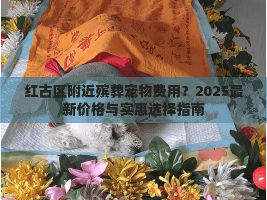 红古区附近殡葬宠物费用？2025最新价格与实惠选择指南