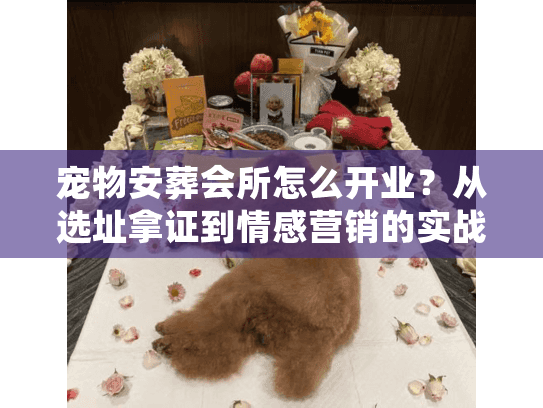 从选址拿证到情感营销的实战拆解图片