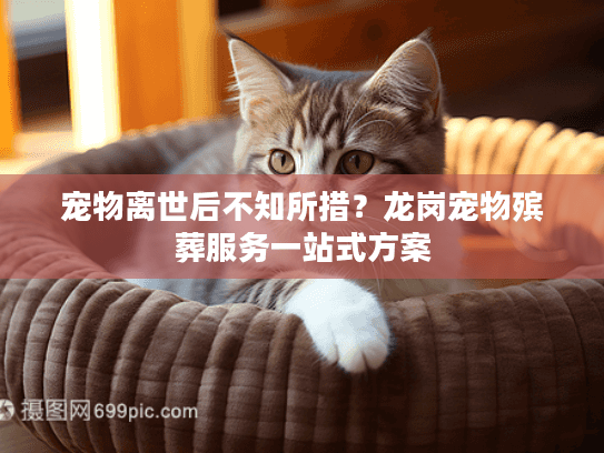 宠物离世后不知所措？龙岗宠物殡葬服务一站式方案