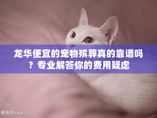 龙华便宜的宠物殡葬真的靠谱吗？专业解答你的费用疑虑