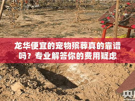 龙华便宜的宠物殡葬真的靠谱吗？专业解答你的费用疑虑