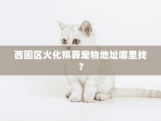 西固区火化殡葬宠物地址哪里找？