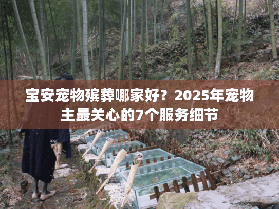 宝安宠物殡葬哪家好？2025年宠物主最关心的7个服务细节