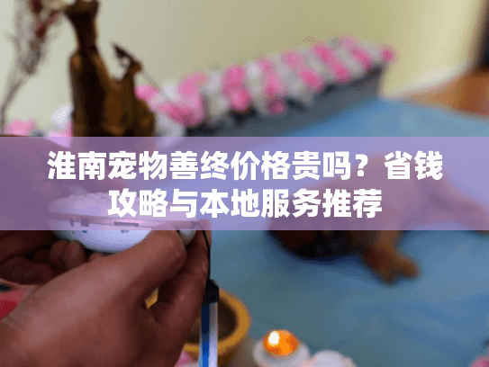淮南宠物善终价格贵吗？省钱攻略与本地服务推荐