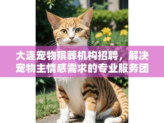大连宠物殡葬机构招聘，解决宠物主情感需求的专业服务团队