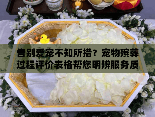 告别爱宠不知所措？宠物殡葬过程评价表格帮您明辨服务质量