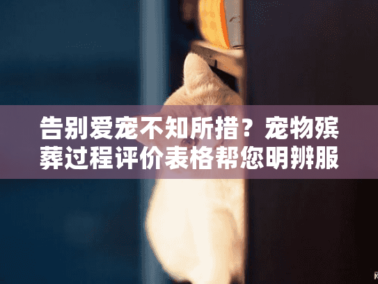 告别爱宠不知所措？宠物殡葬过程评价表格帮您明辨服务质量