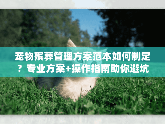宠物殡葬管理方案范本如何制定？专业方案+操作指南助你避坑