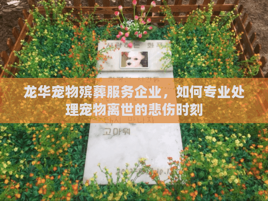龙华宠物殡葬服务企业，如何专业处理宠物离世的悲伤时刻