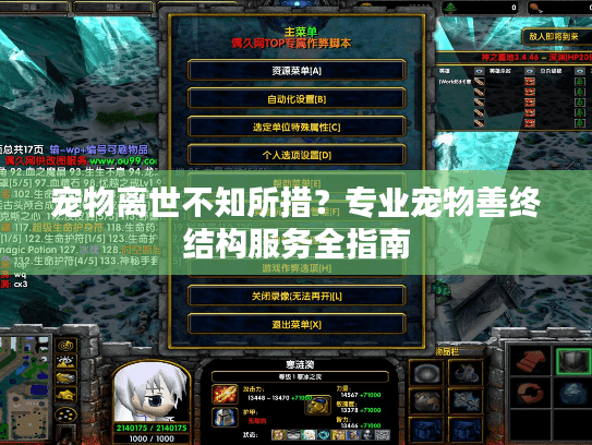 宠物离世不知所措？专业宠物善终结构服务全指南