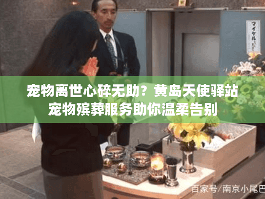 宠物离世心碎无助？黄岛天使驿站宠物殡葬服务助你温柔告别