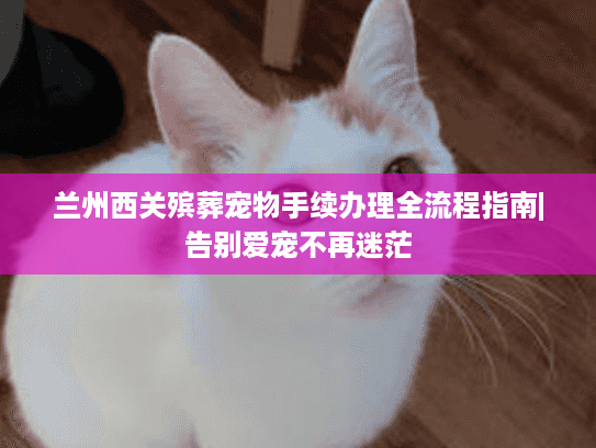 兰州西关殡葬宠物手续办理全流程指南|告别爱宠不再迷茫
