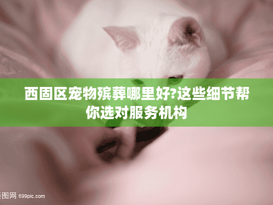 西固区宠物殡葬哪里好?这些细节帮你选对服务机构
