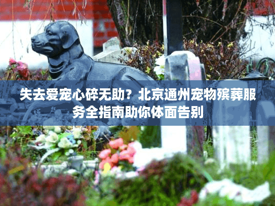 失去爱宠心碎无助？北京通州宠物殡葬服务全指南助你体面告别