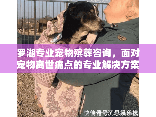 罗湖专业宠物殡葬咨询，面对宠物离世痛点的专业解决方案