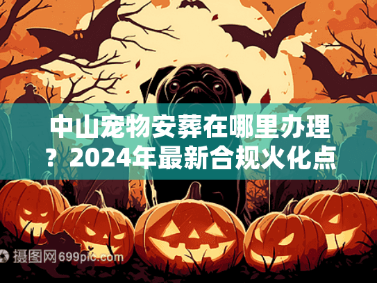 2024年最新合规火化点与避坑实况图片